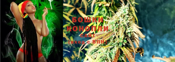 СК Бородино