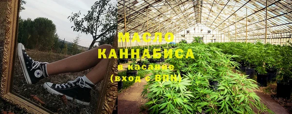 СК Бородино