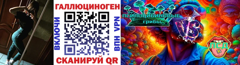 Галлюциногенные грибы GOLDEN TEACHER  Купить где  Каменка 